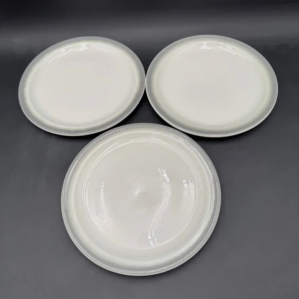 Set/3 Vtg Restaurant Hotel Ware Dinner Plates by Sterling 9.5